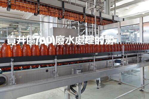 貢井區(qū)廢水處理的驚人發(fā)現(xiàn)：你所不知道的真相！